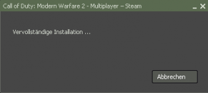 Fehler beim Starten von CoD: MW 2