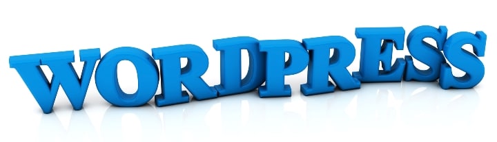 Wordpress Schriftzug