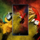 Elephone S8